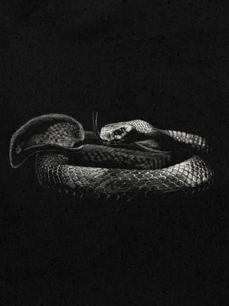 Snake