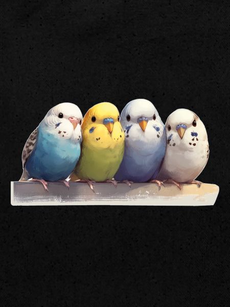 Budgies