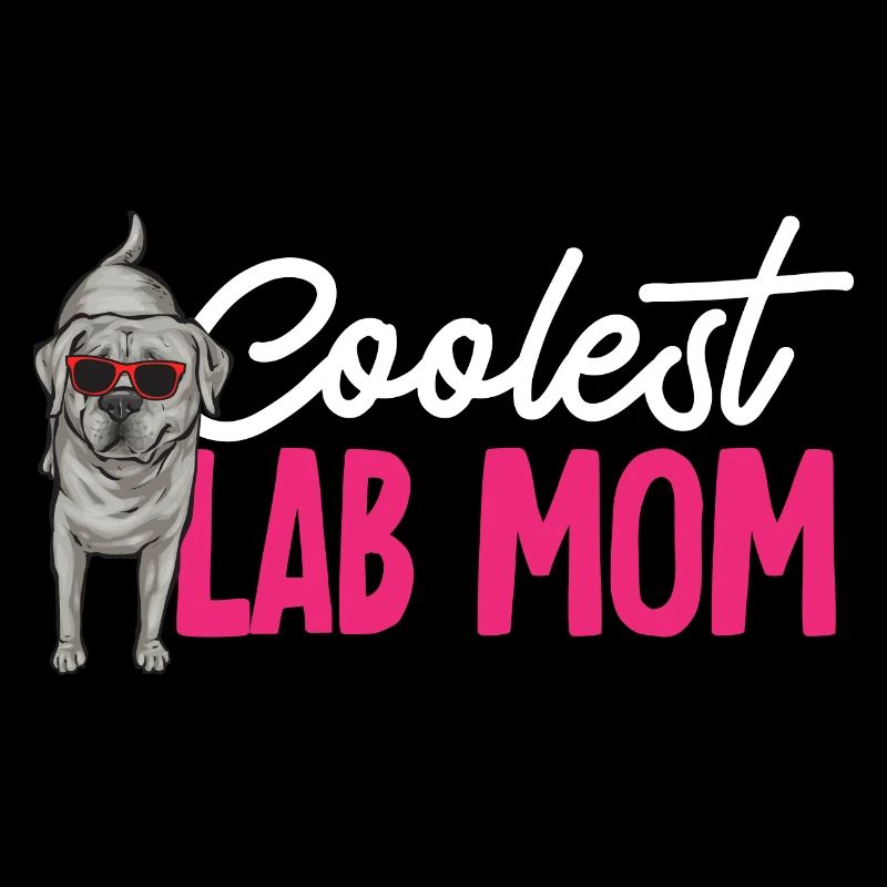 Silver Labrador Retriever Silver Lab