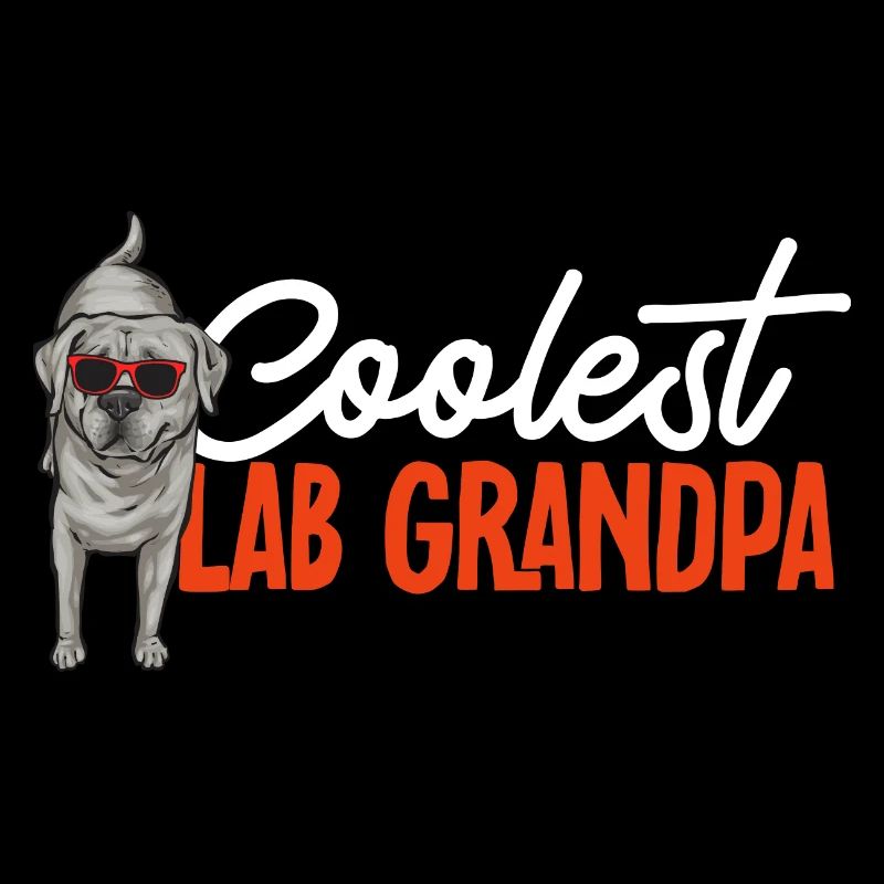 Silver Labrador Retriever Silver Lab