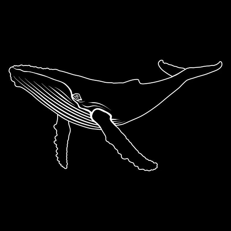 Wal - Buckelwal - Meeressäuger - Geschenk