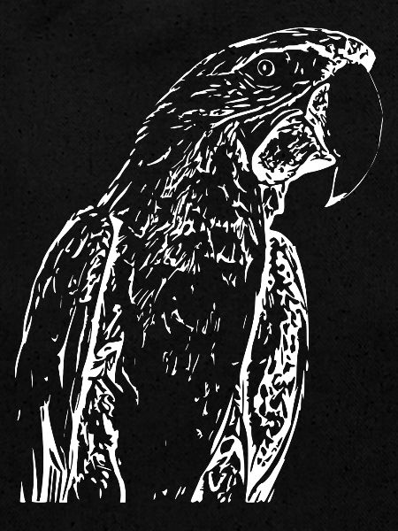 Perroquets Oiseau Blanc