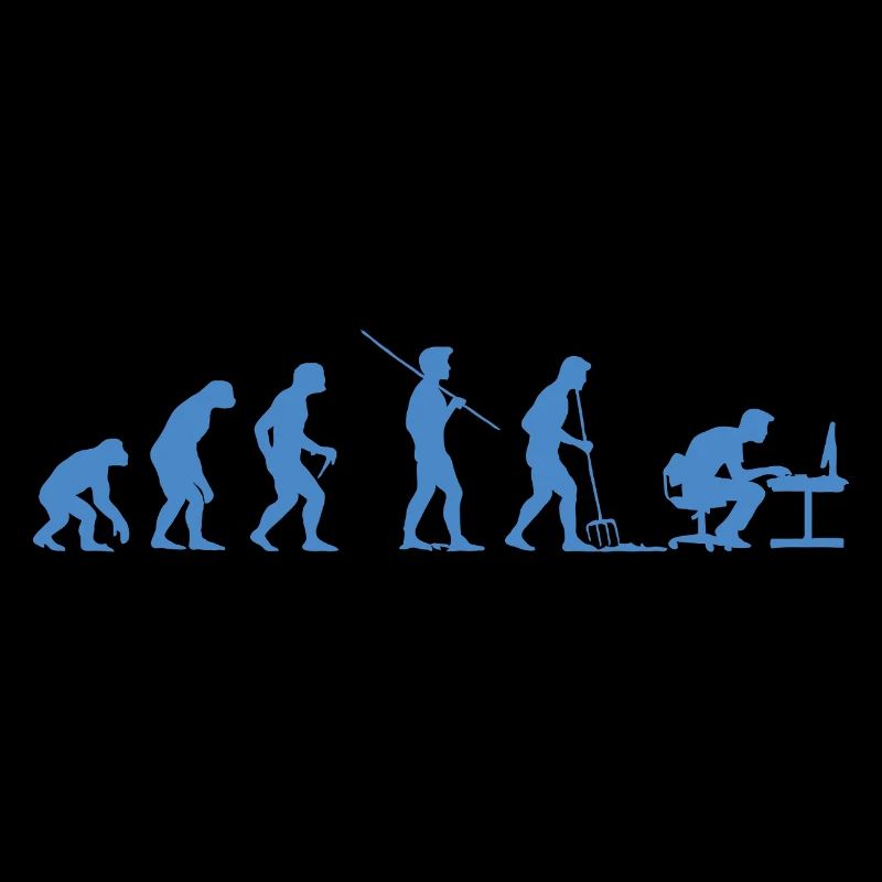 Programmeur Évolution Informaticien Développeur