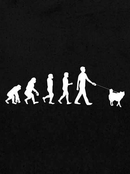 Évolution du husky