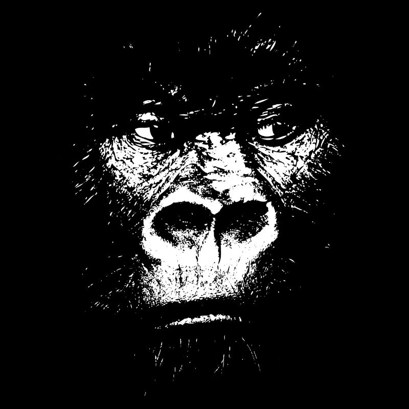 Expressionist Monkey Illustration, Gorilla