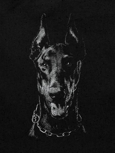 Doberman