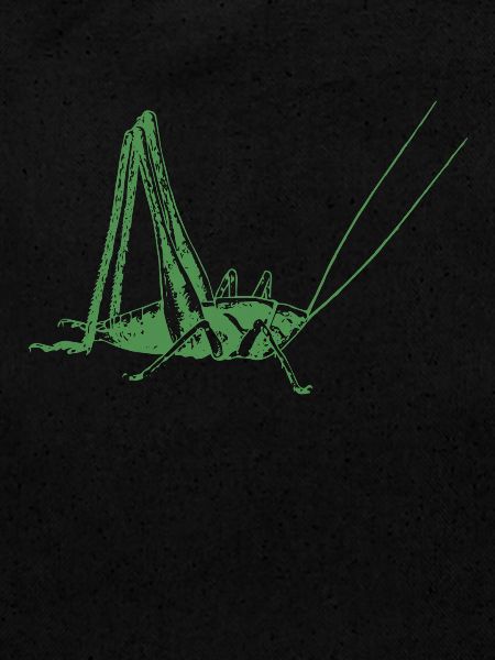Grasshopper