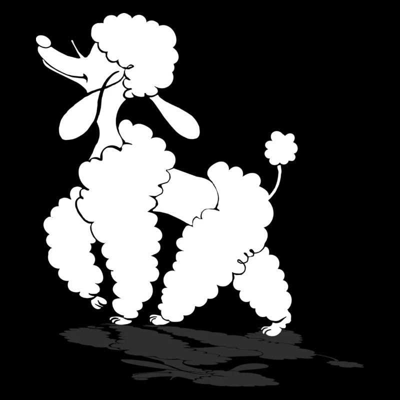 poodle