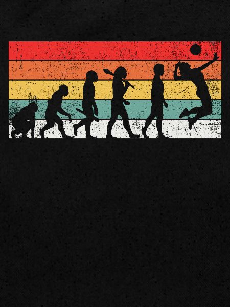 Volleyball Evolution