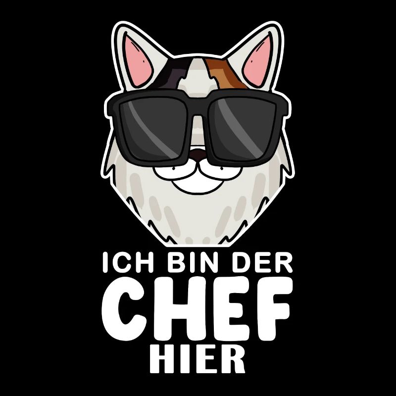 coole Katze - Japanese Bobtail Katze Spruch