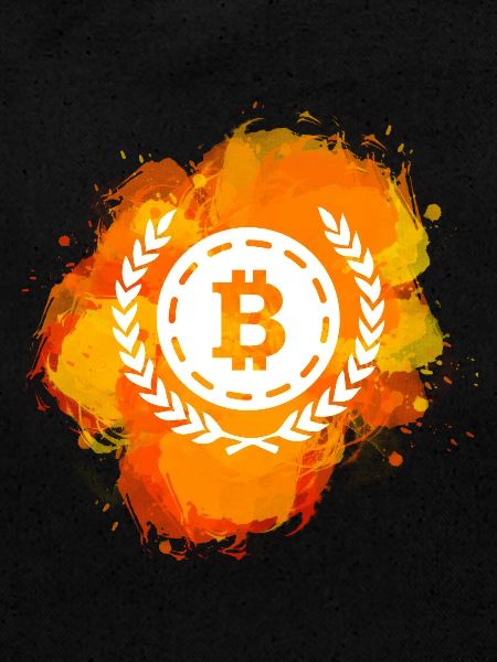 Bitcoin Crypto Cryptocurrency Splash