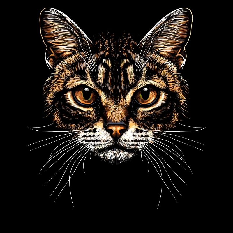 Chat Bengal Chat Léopard Chat Leopardette Chats Bengale