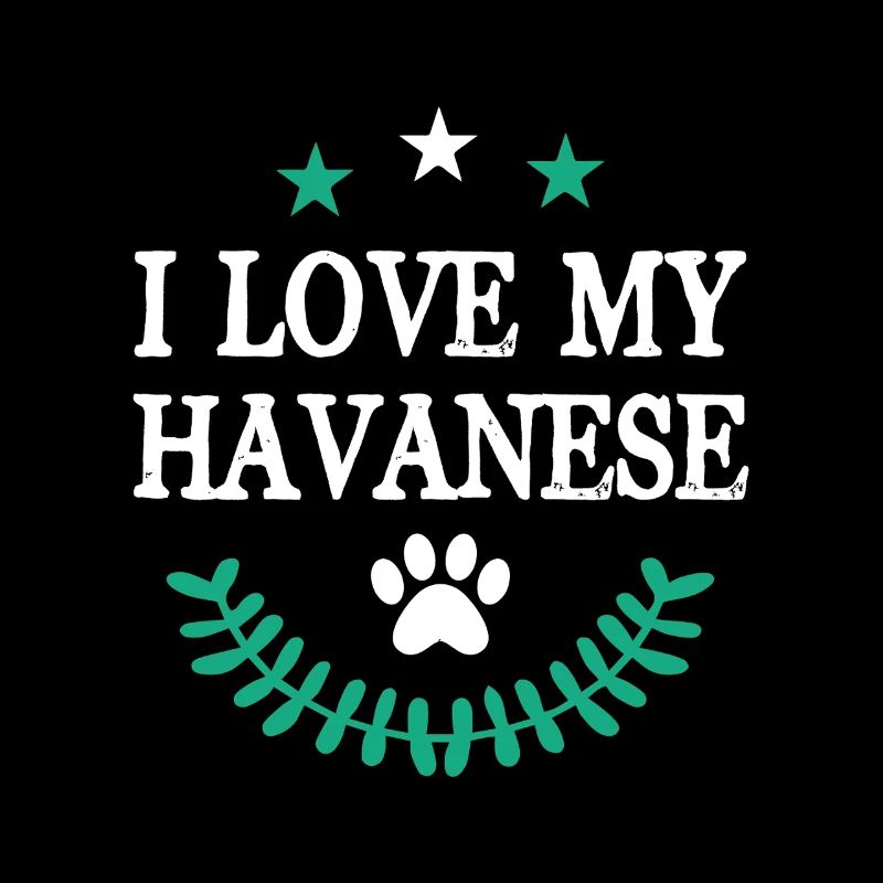 Havaneser