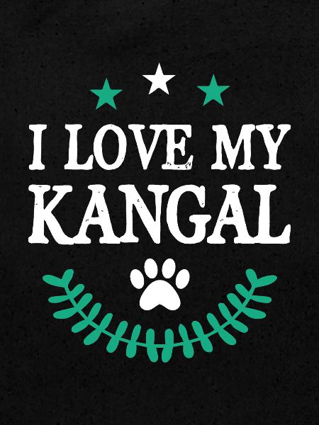 Kangal