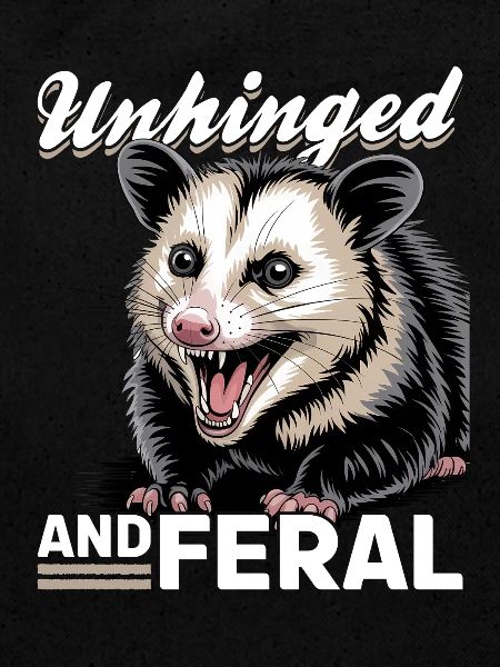 Funny Opossum