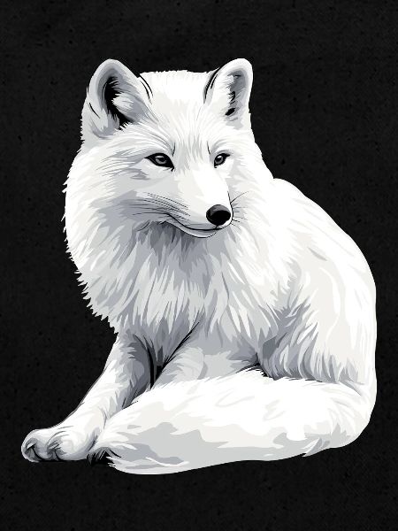 Snow fox