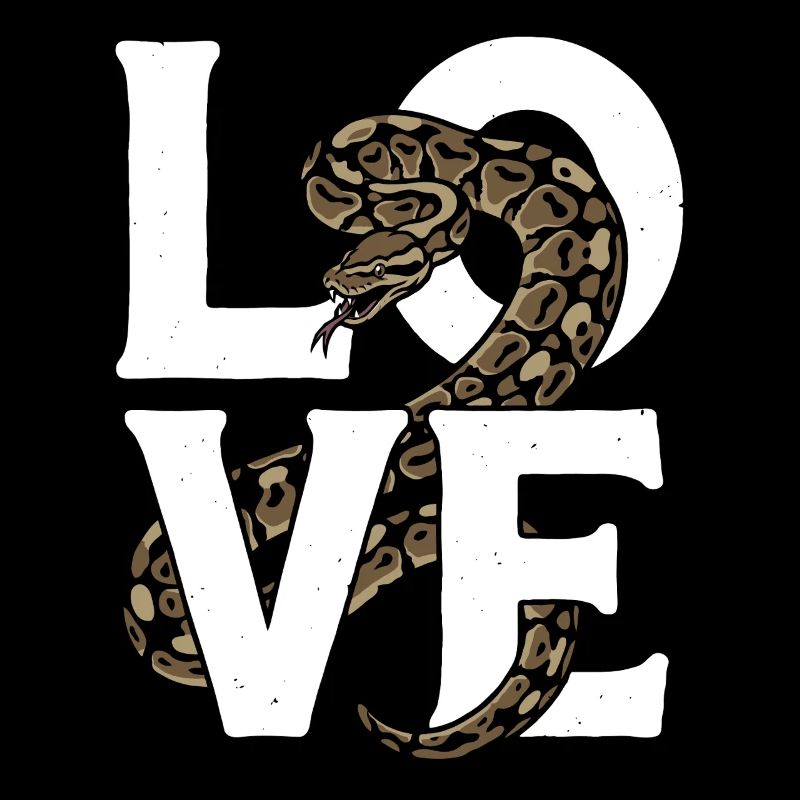 Les serpents rois Python ADORENT les pythons de terrarium