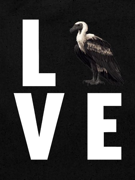 Vulture