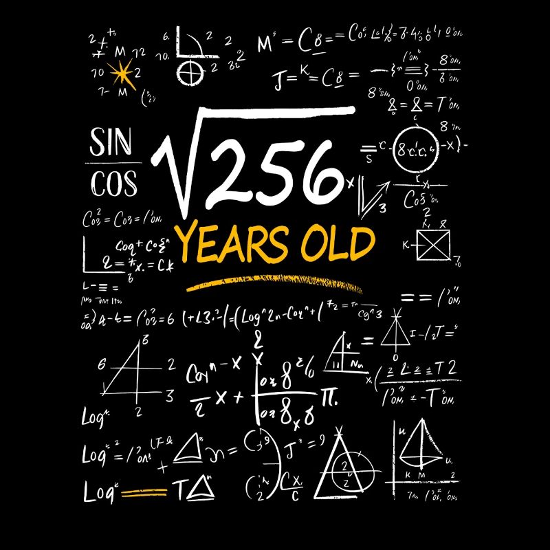 16 Years Birthday Math Formulas Funny
