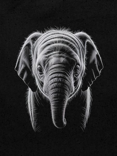 Elephant Head
