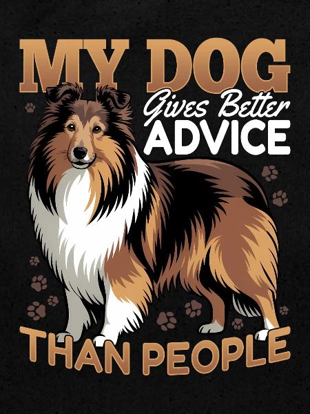 Chien Shetland Sheltie Race