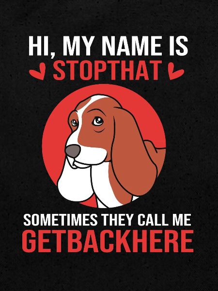 basset hound