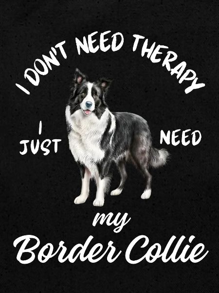 Thérapie Border Collie
