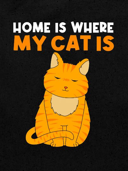 tabby cat