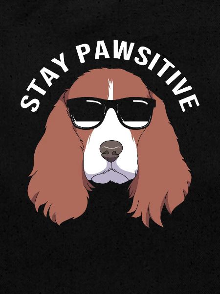 Springer Spaniel Hund