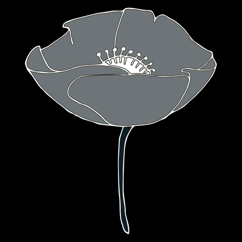 mohnblume grau