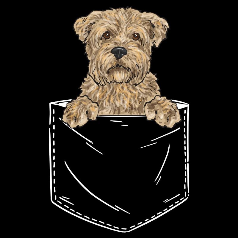 Cairn Terrier Chien