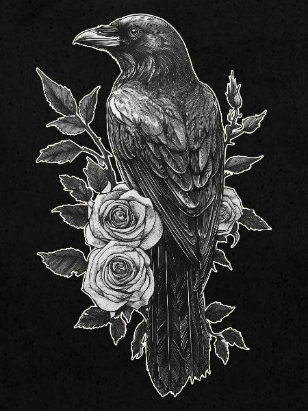 Raven
