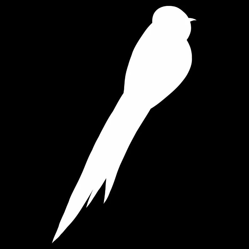 Bird Falcon Blackbird Thrush Sparrow Buzzard Raven