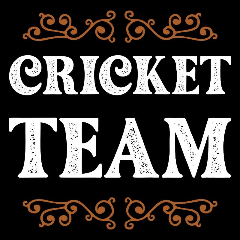 Équipe de cricket
