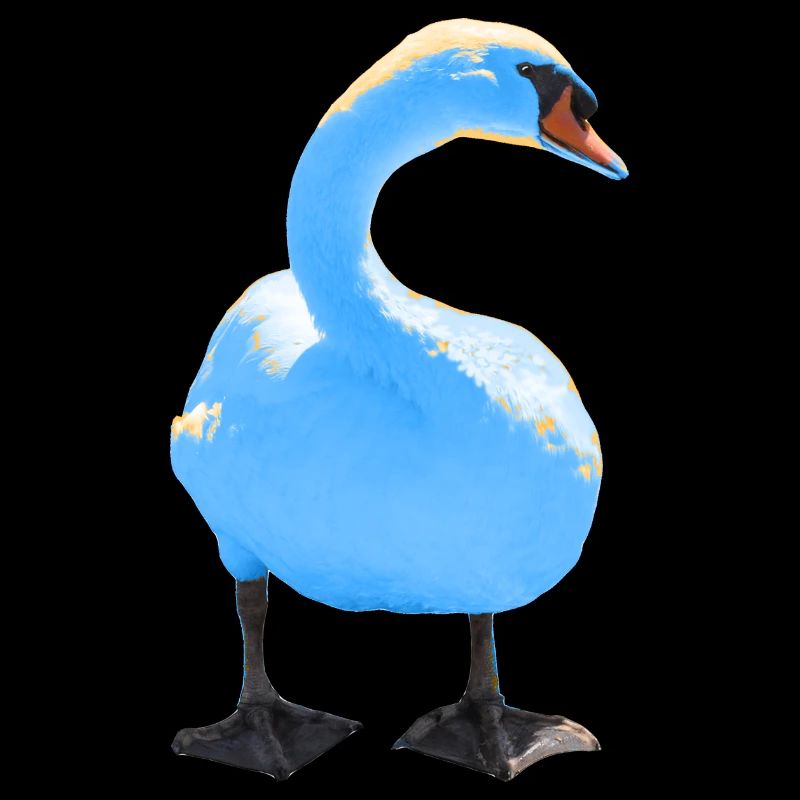 swan