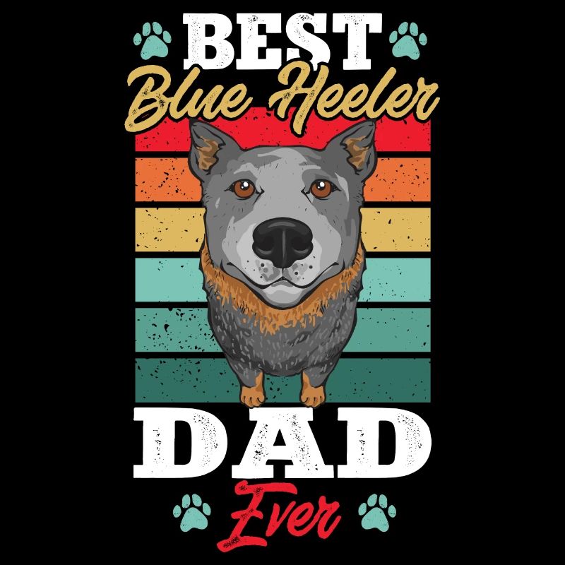 Bouvier australien Red Blue Heeler