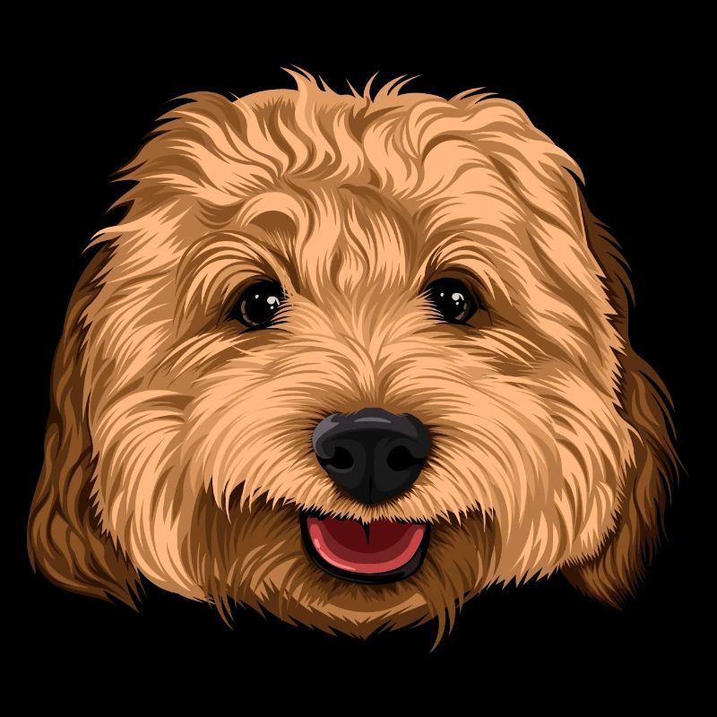 Glücklicher Cockapoo