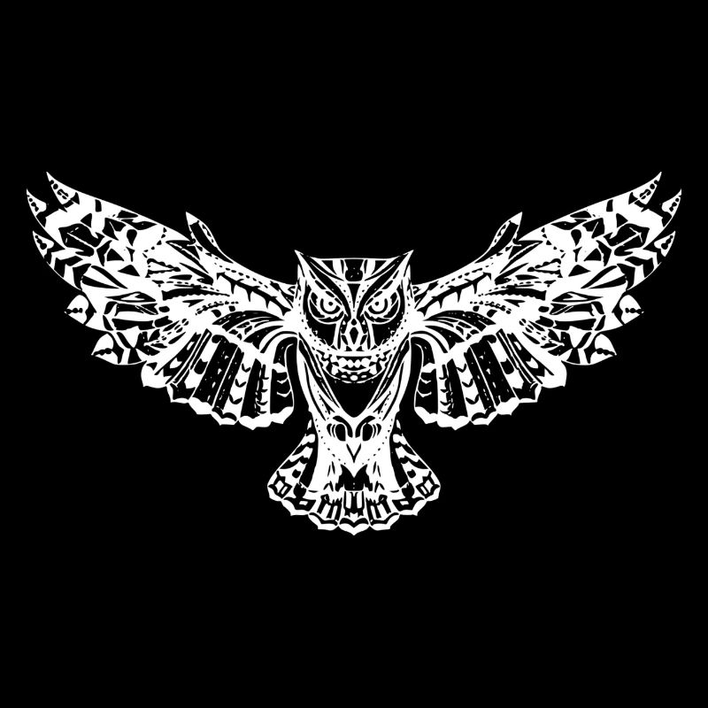 belle chouette aux ailes déployées