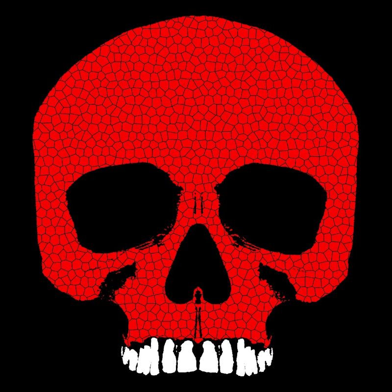 Red Skull with Crack Pattern / Skull