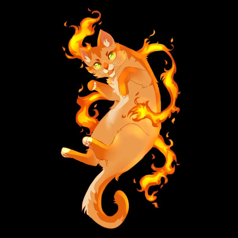 Firestar Warrior Cats Cat