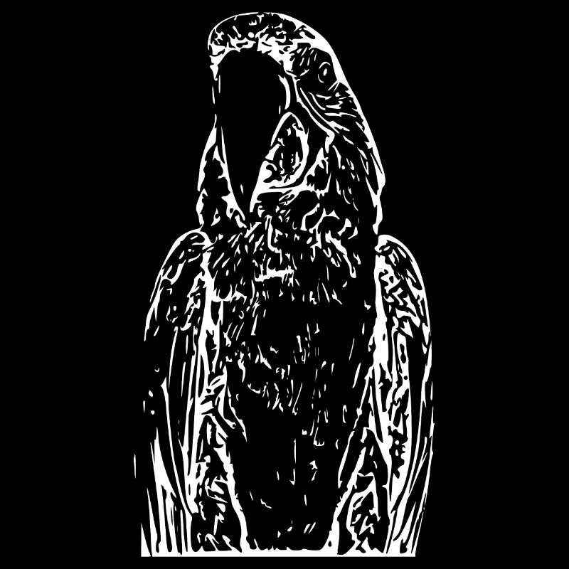 Perroquets Oiseau Blanc