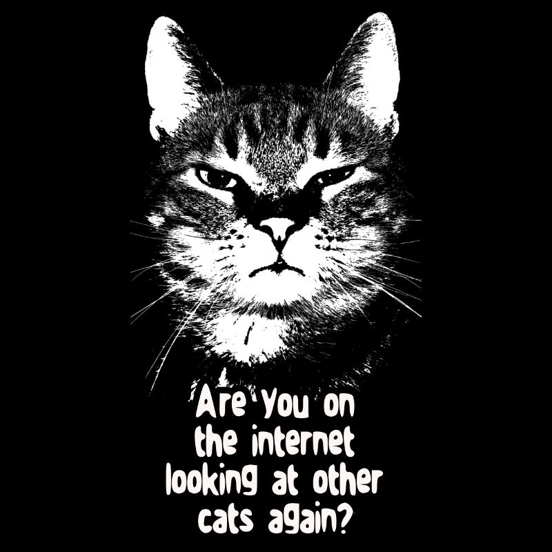 Internet Cat