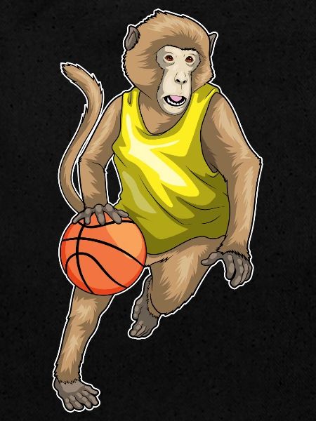 Singe Basketteur Basketteur