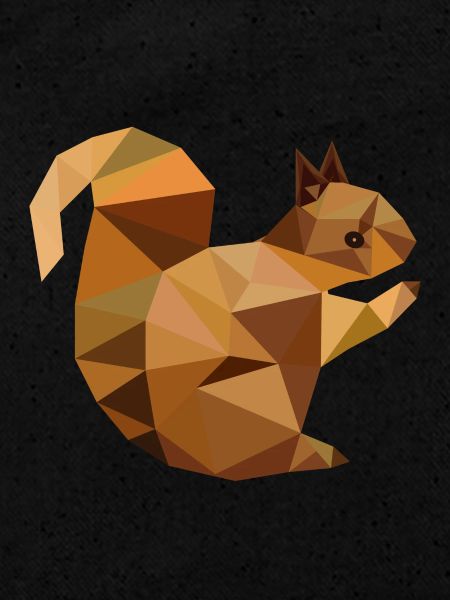 squirrel