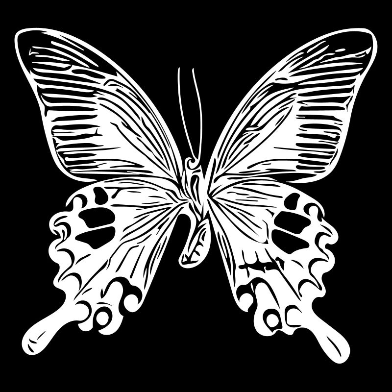 Schmetterling - Vector - Alle Farben möglich