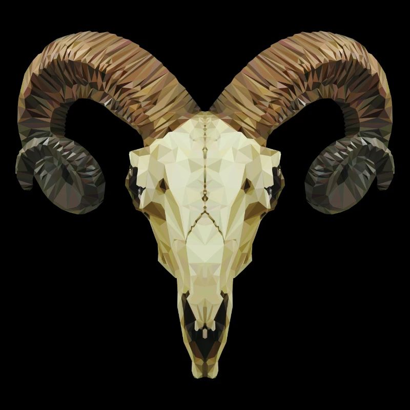 Ram's skull