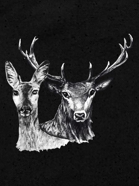 Cerfs et biche