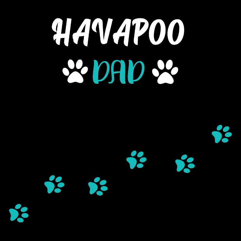Havapoo Dad I Havaneser Pudel Mix