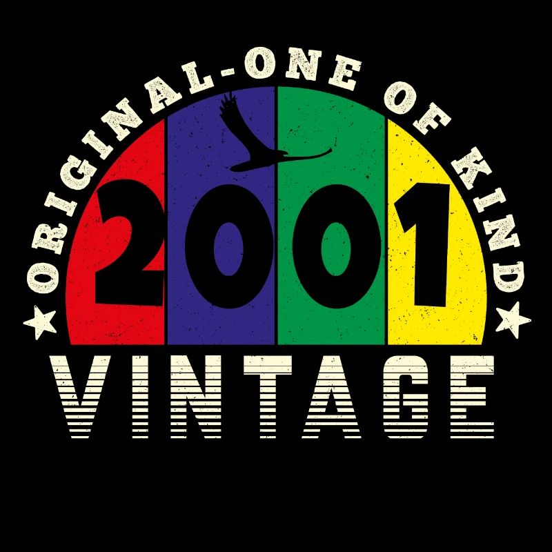 Vintage 2001 Retro - Bursdag