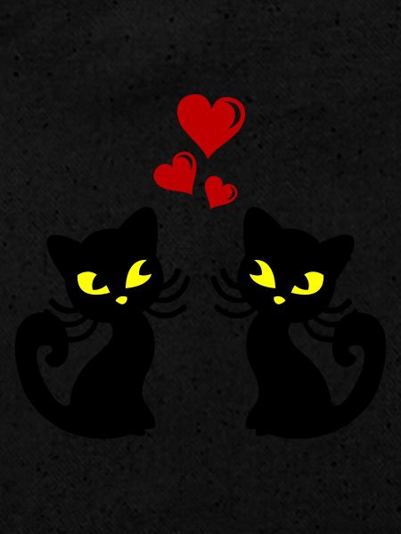 Feline